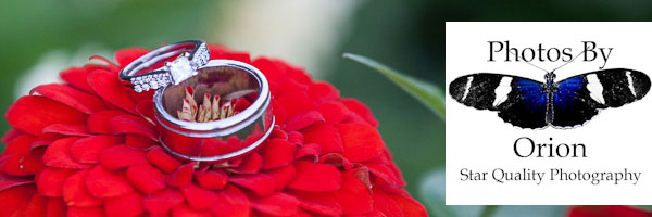 Wedding Rings displayed on a flower.