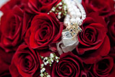 IMG_3964-2.jpg